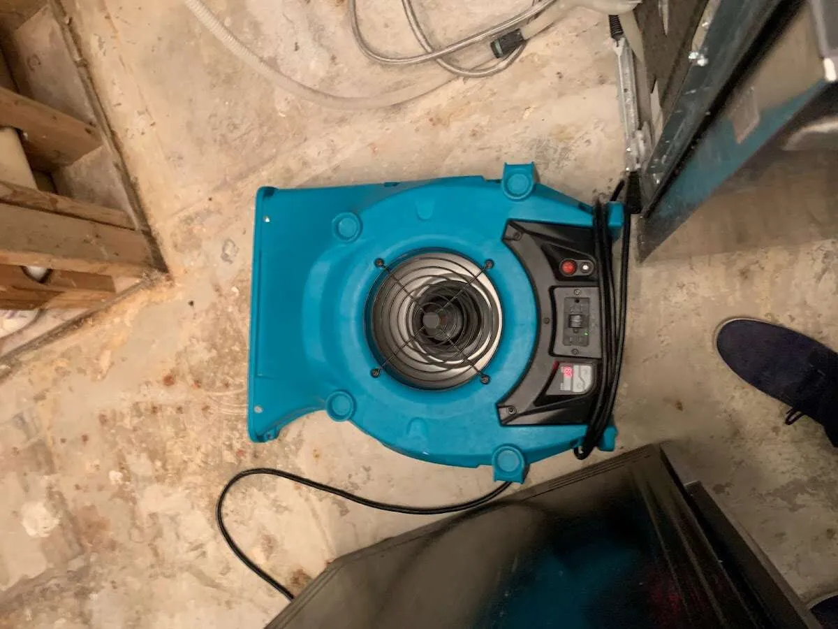 Air mover drying equipment for Mold Remediation & Removal in Mount Hope
